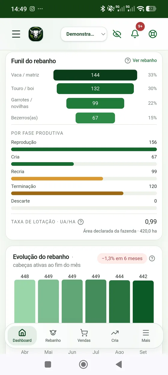 Painel do Taurion aberto no celular, com o funil por categoria, as fases produtivas e a taxa de lotação por hectare.